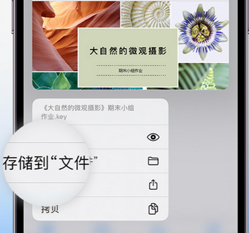 临清apple维修中心分享iPhone文件应用中存储和找到下载文件