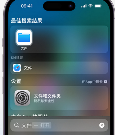 临清apple维修中心分享iPhone文件应用中存储和找到下载文件