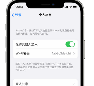 临清apple服务站点分享iPhone上个人热点丢失了怎么办 