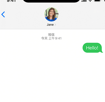 临清apple维修iPhone上无法正常发送iMessage信息