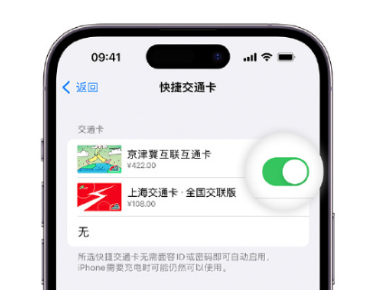 临清apple维修点分享iPhone上更换Apple Pay快捷交通卡手绘卡面 