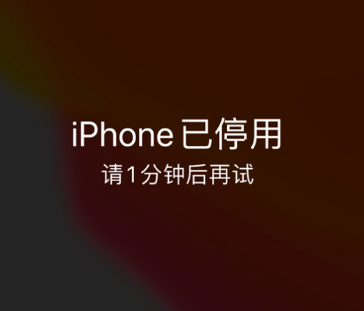 临清苹果手机维修分享:iPhone 显示“不可用”或“已停用”怎么办？还能保留数据吗？ 