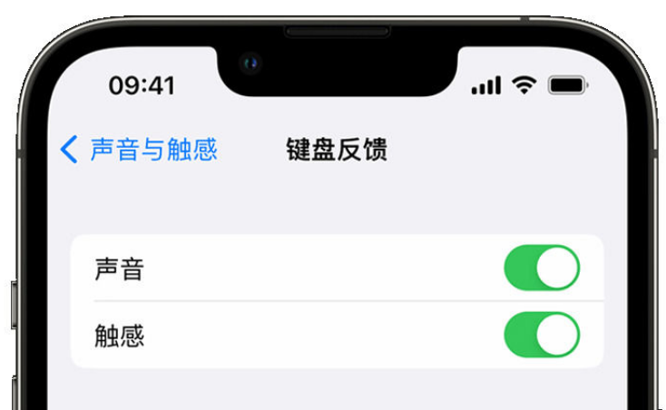 临清苹果手机维修分享iPhone 14触感键盘使用方法 