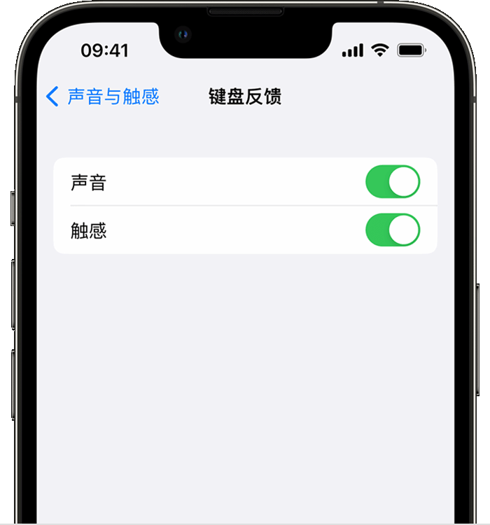 临清苹果14维修店分享如何在 iPhone 14 机型中使用触感键盘 