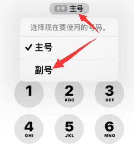 临清苹果14维修店分享iPhone 14 Pro Max使用副卡打电话的方法 