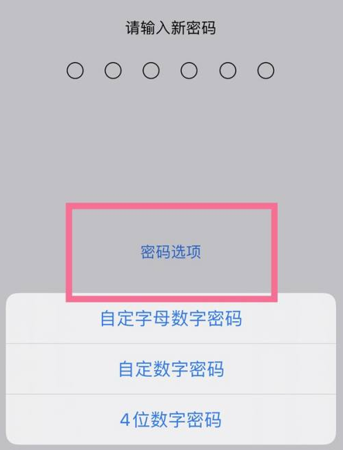 临清苹果14维修分享iPhone 14plus设置密码的方法 