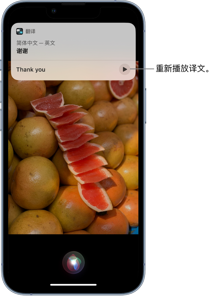 临清苹果14维修分享 iPhone 14 机型中使用 Siri：了解 Siri 能帮你做什么 