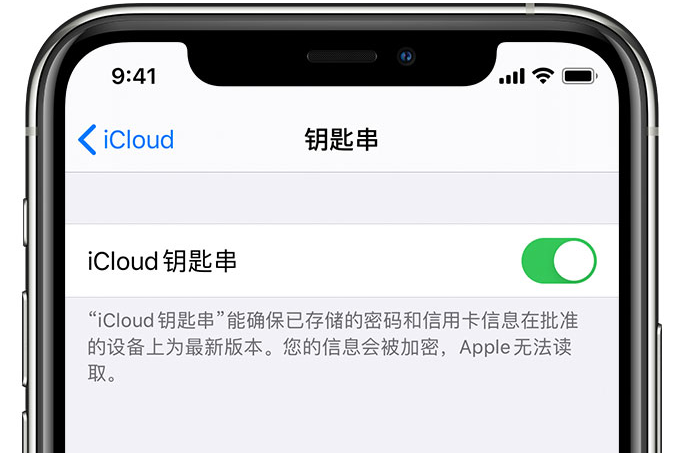 临清苹果手机维修分享在 iPhone 上开启 iCloud 钥匙串之后会储存哪些信息 