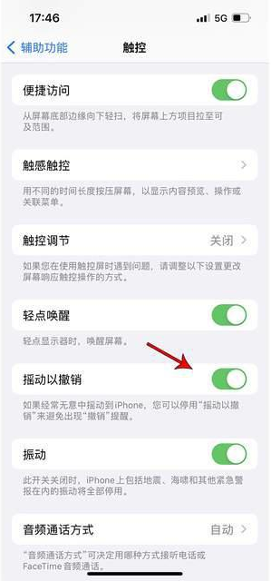 临清苹果手机维修分享iPhone手机如何设置摇一摇删除文字 