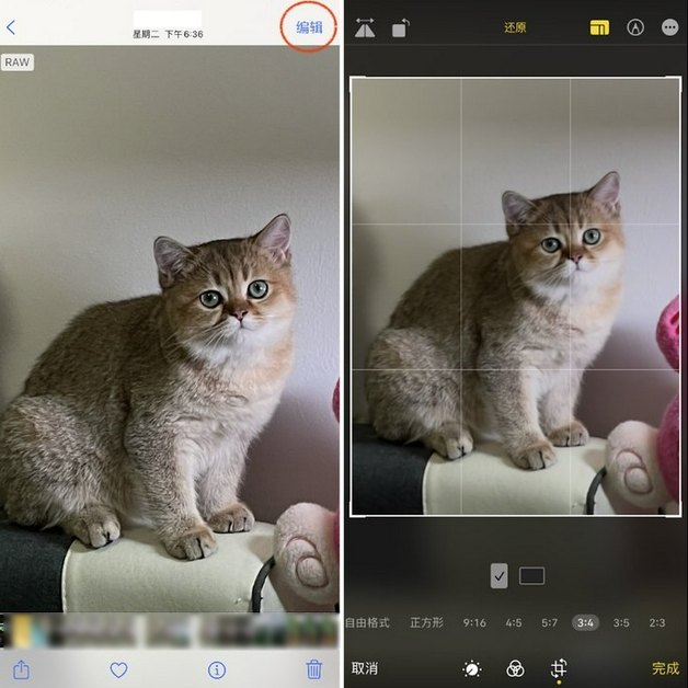 临清苹果手机维修分享苹果 iPhone 12 Pro 拍照会过度锐化 