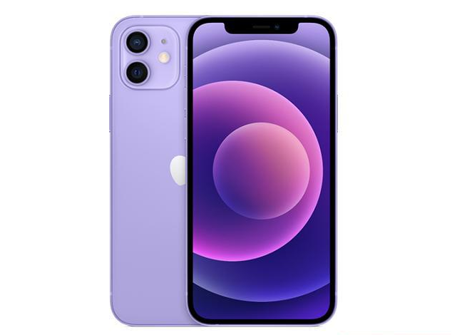 临清苹果手机维修分享现阶段要不要入手紫色版iPhone12 