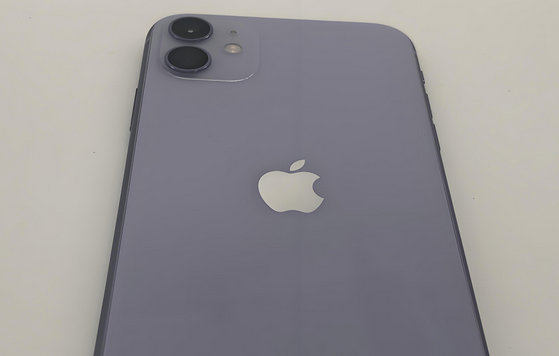 临清苹果11系统维修分享iPhone11手机系统崩溃无法开机如何解决 