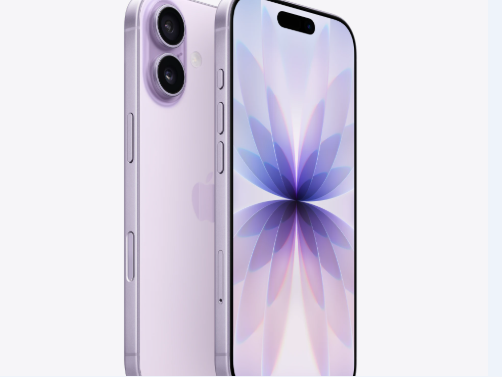 临清苹果维修点分享iPhone 17锁屏密码使用参考 
